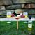 Picnic