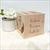 Memorial Urn Adult